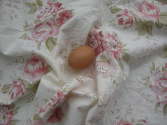 FirstEgg1.jpg