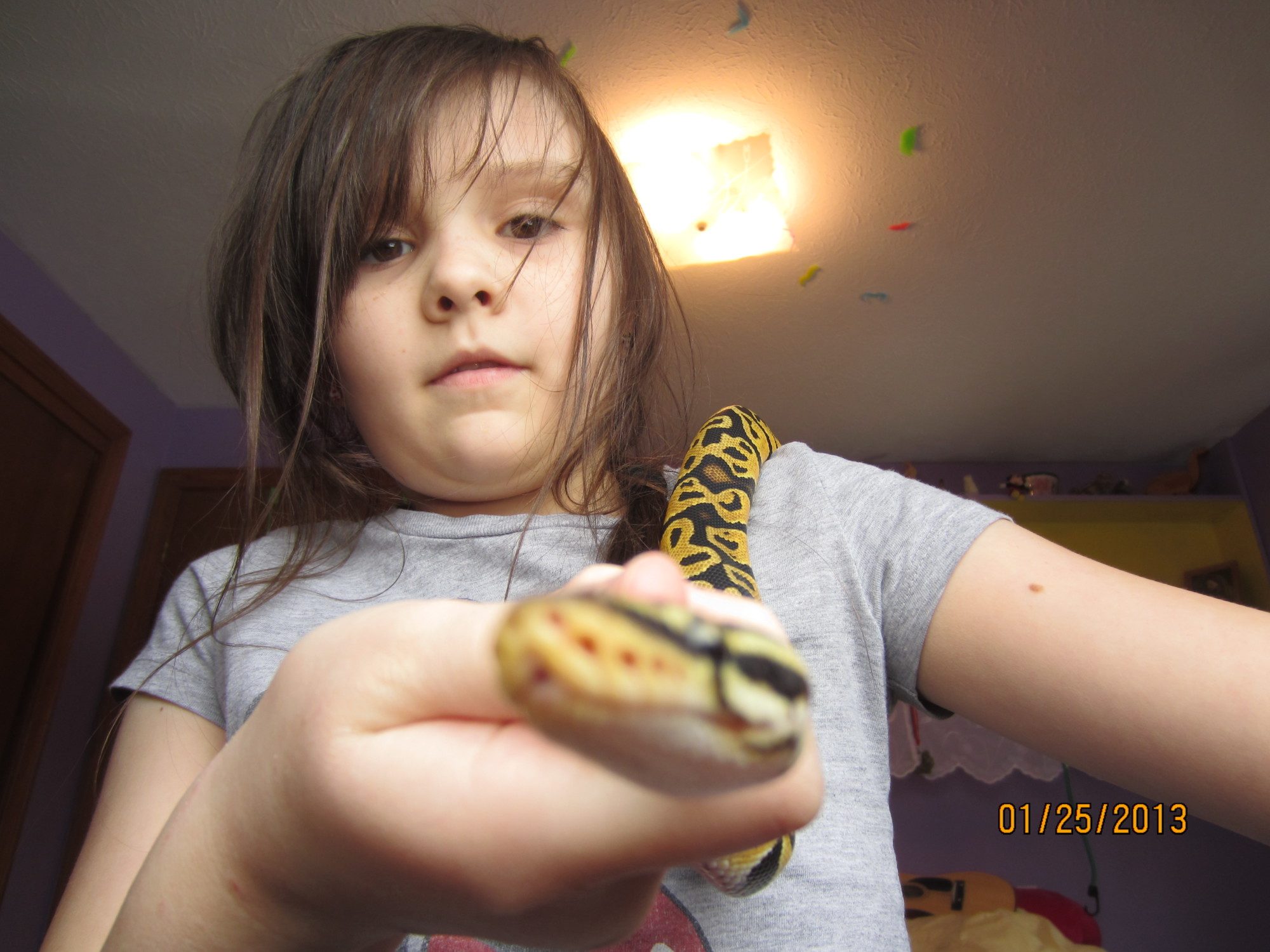 200x200px-ZC-05cd234f_040.jpeg