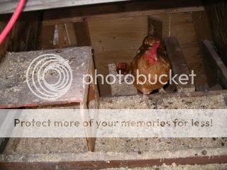 IMGP2190.jpg
