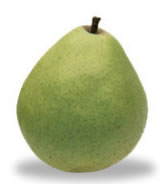 anjou-pear.jpg