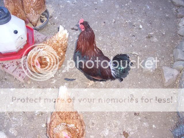 100_1899.jpg