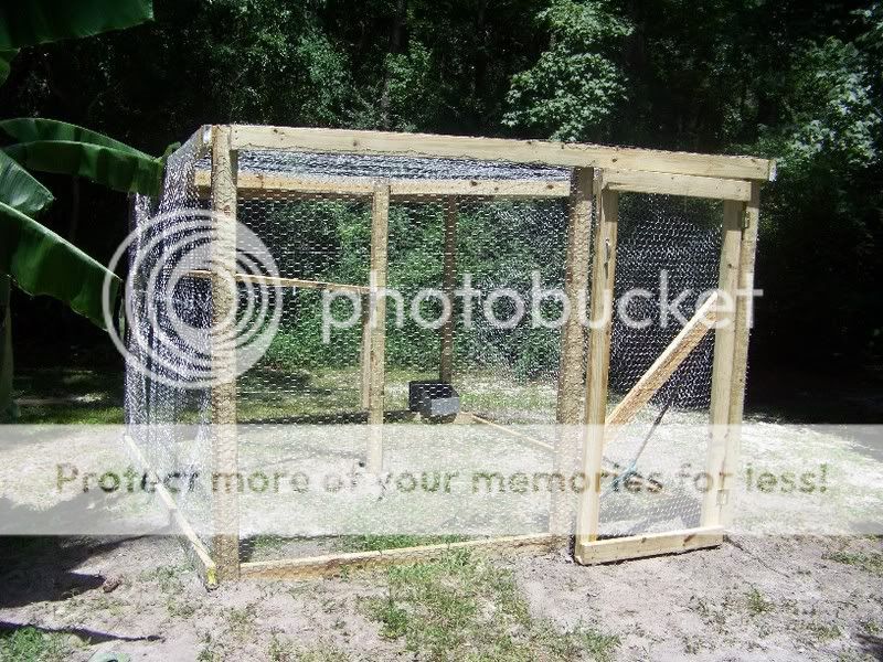 chickencoopwebuilt.jpg