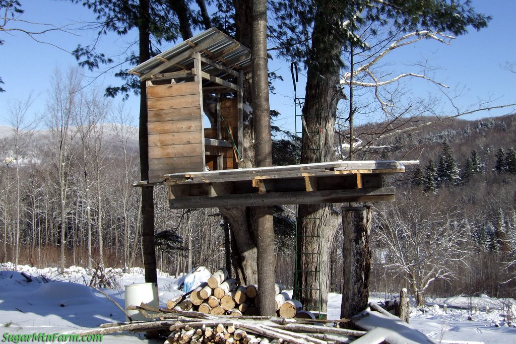 TreehouseWinterSnowDSCF2526-772900.jpg