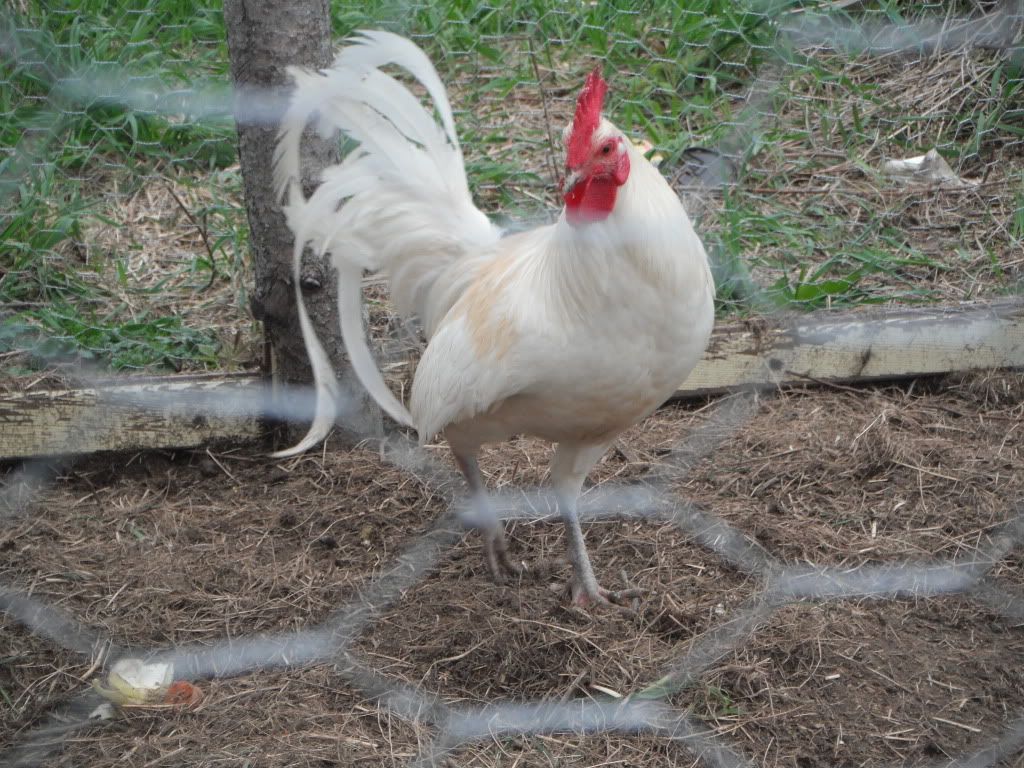 DSCF2141.jpg