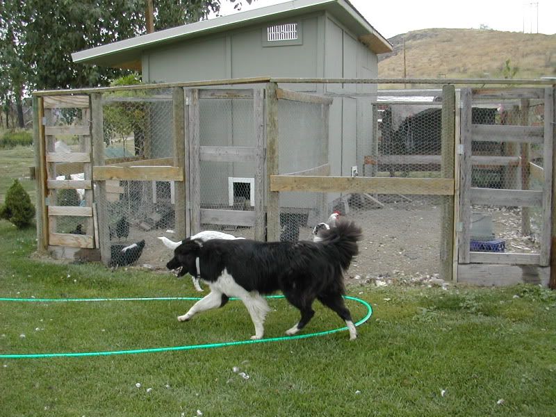 DSCN4725.jpg