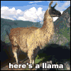 llamallama.gif
