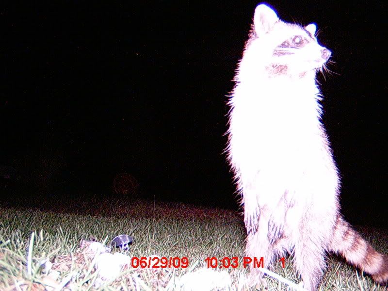 MDGC0016.jpg