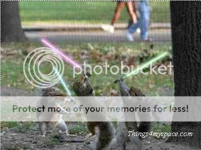 too-funny-pic-of-rat.jpg
