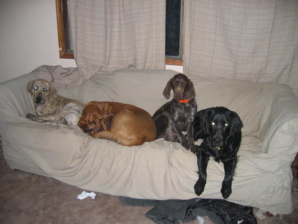 Photos026.jpg