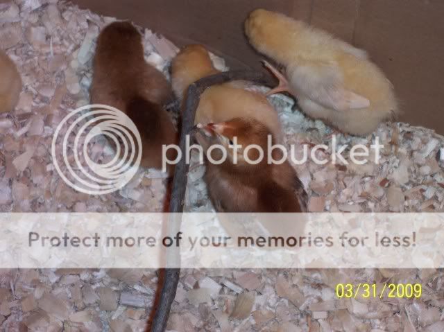 100_1262.jpg