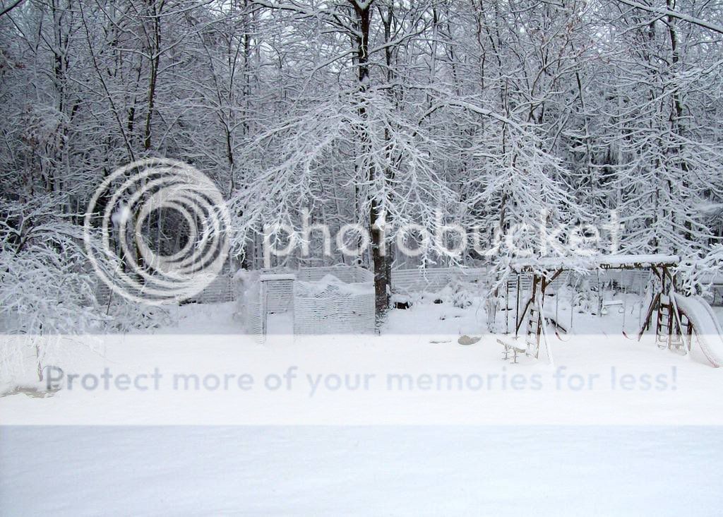 SnowJan142008.jpg