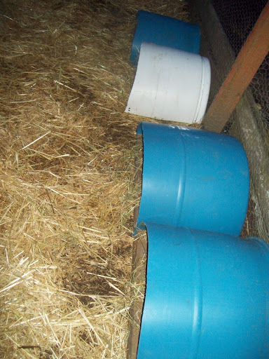 100_6958.JPG