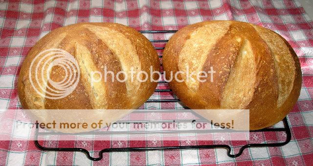 Boules01-01-10004resize.jpg