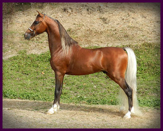 Tex-Sep2012-lside2.jpg
