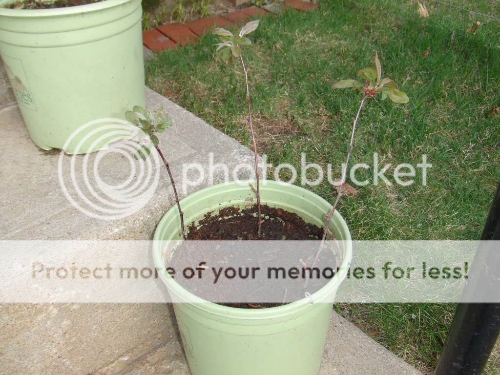 DSCF2147.jpg