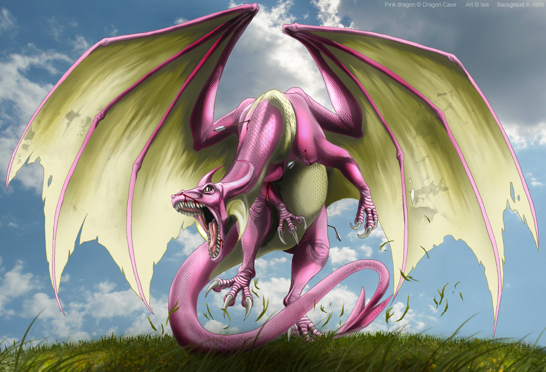 pink_dragon_by_isismasshiro-d485755.png