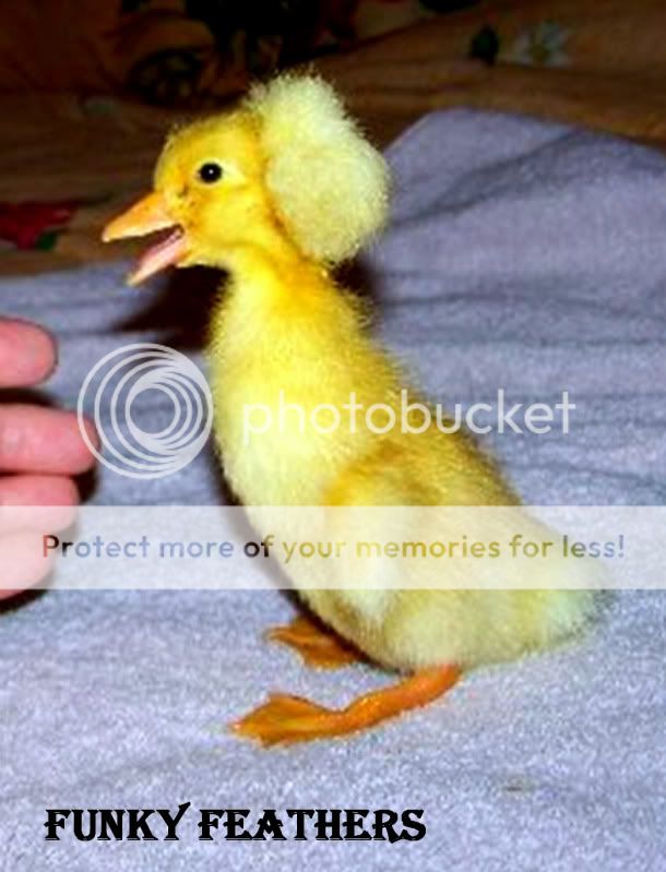 babymrspuff.jpg