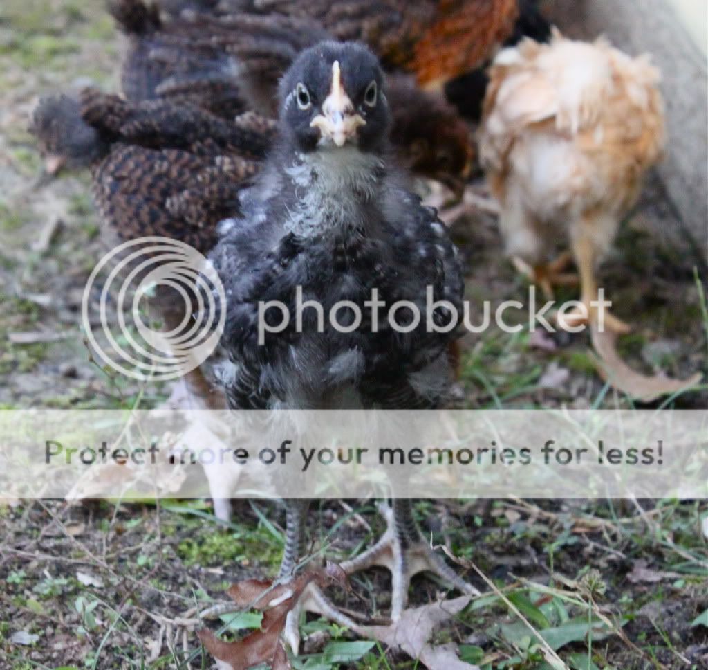 IMG_1905.jpg