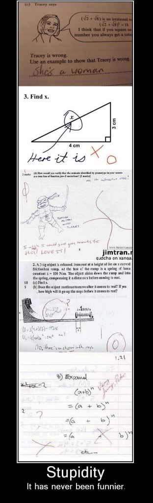 stupidity08.jpg