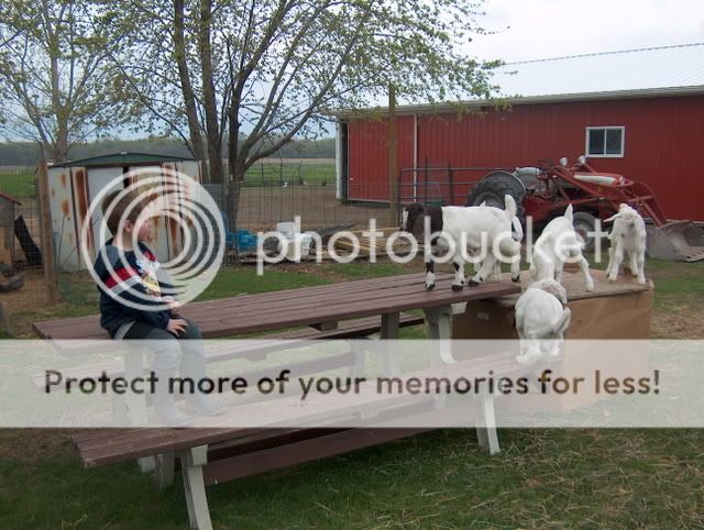 joshuaandthegoats002.jpg