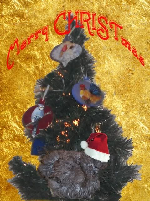 tree2sm.jpg