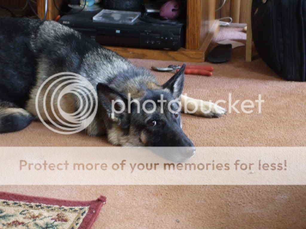 DSCF0010.jpg