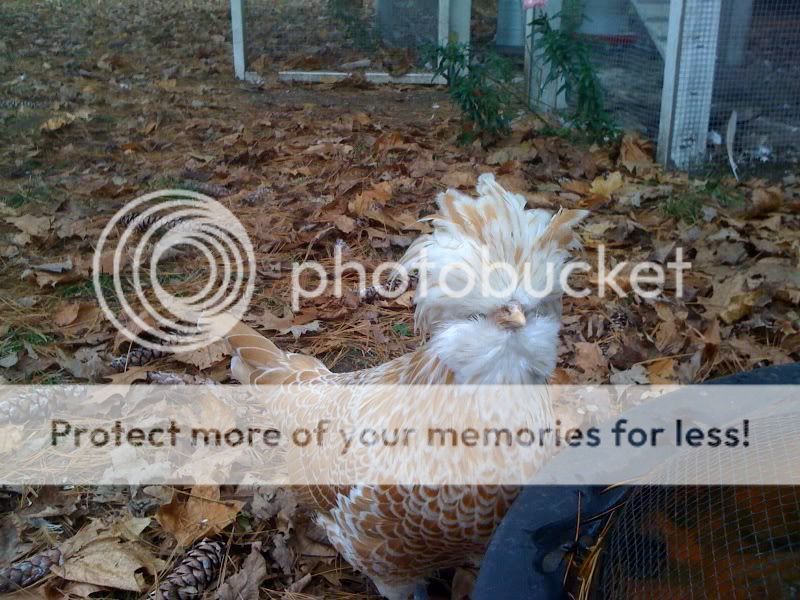 photo5-1.jpg