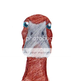 image-12copy.png