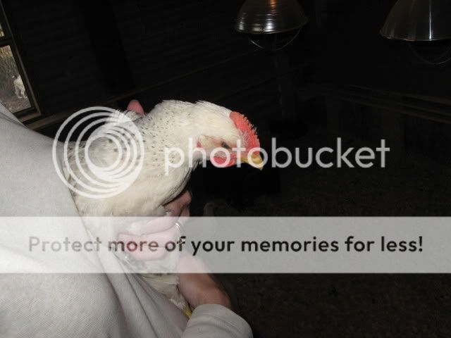 IMG_0337.jpg