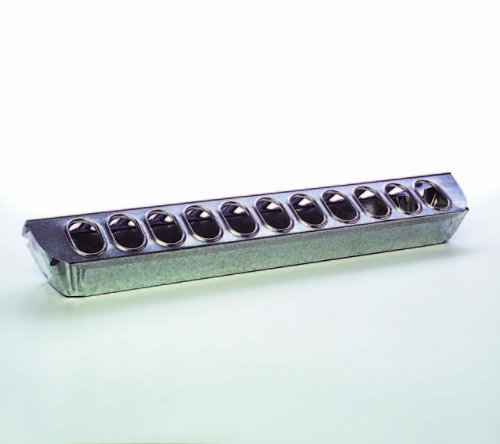 41UuZX8ewCL.jpg
