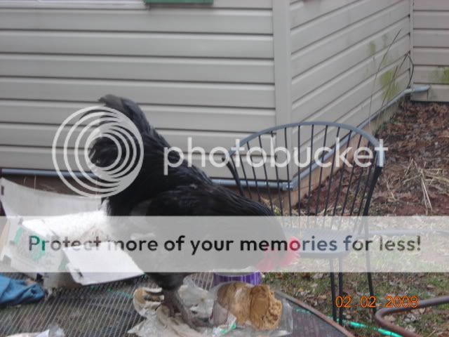 DSCN0939.jpg