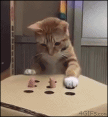 061a9a647d598f95e0c13121d14df576.gif