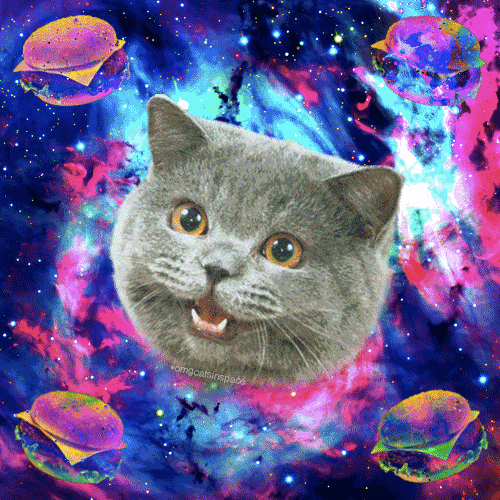 tumblr_mojk1em3ew1r4xjo2o1_500.gif