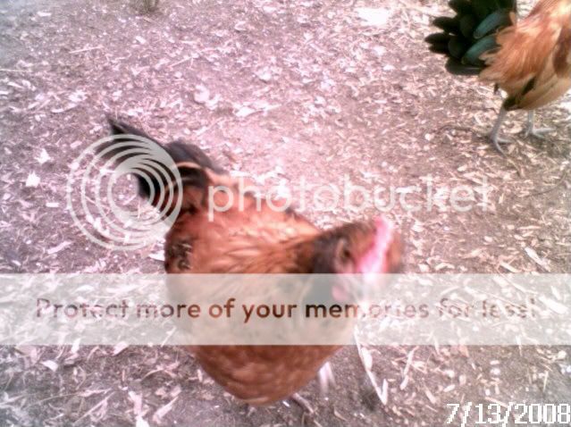 011.jpg