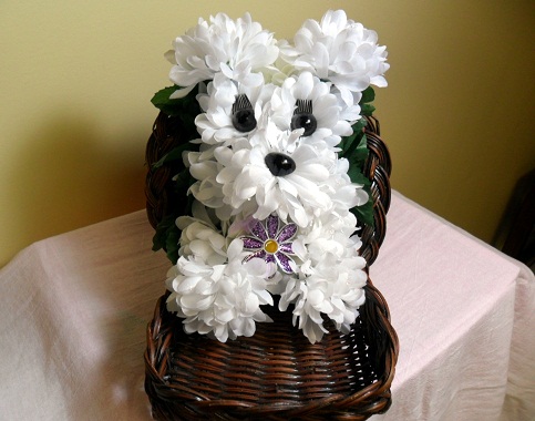 87986057_dog2__25_.jpg