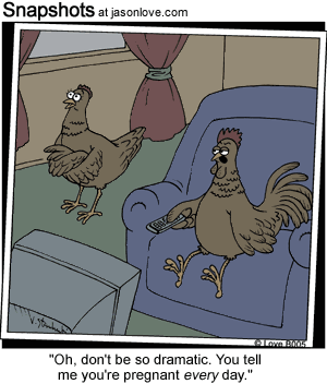chicken-funny-cartoons-pregnancy.gif