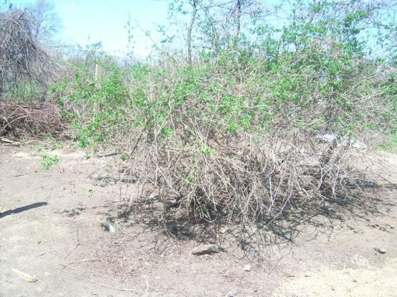 DSCI3904.jpg
