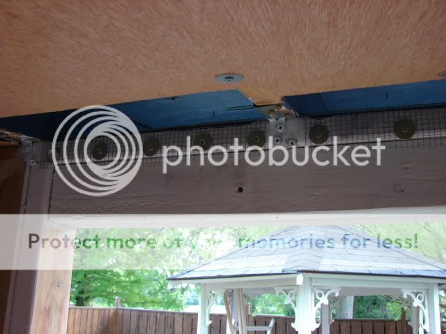DSC00935.jpg