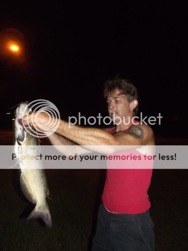 Aricandcatfish2.jpg