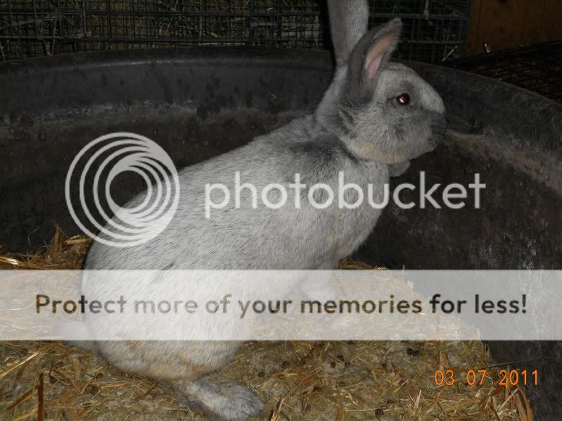 DSCN0271.jpg
