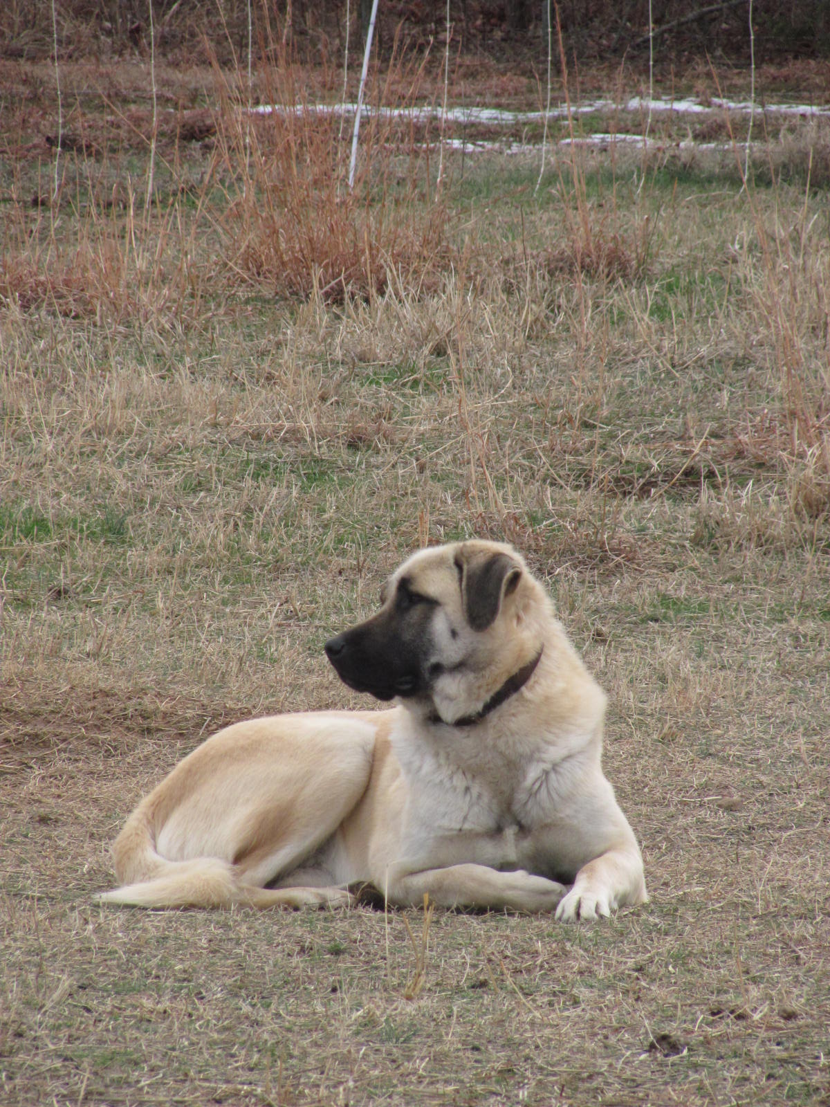 tucker-072.jpg
