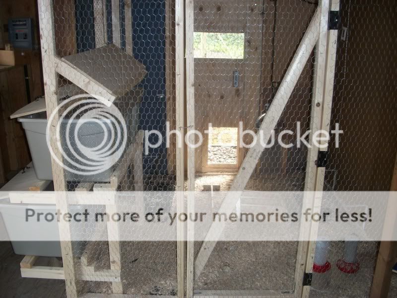 chickenshouse073.jpg