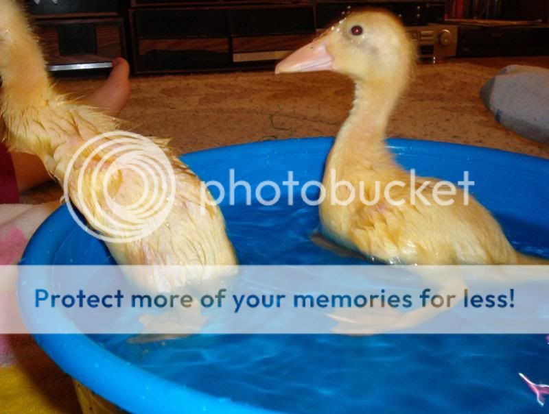 IM000901.jpg