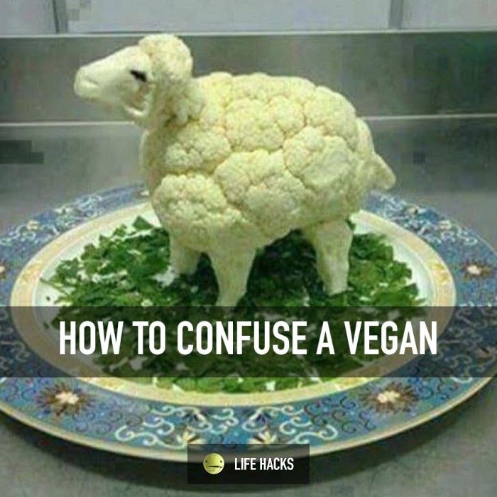 11432a38df9ede8c7e06f6590e6c44de--a-sheep-its-funny.jpg
