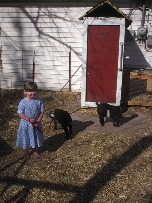 sarahgoats4.jpg