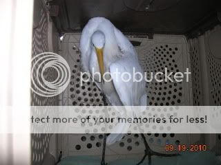 DSCN3907.jpg