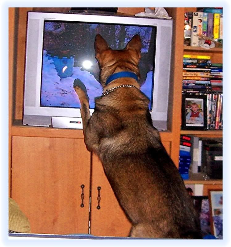 hollyseesherselfonTV4.jpg
