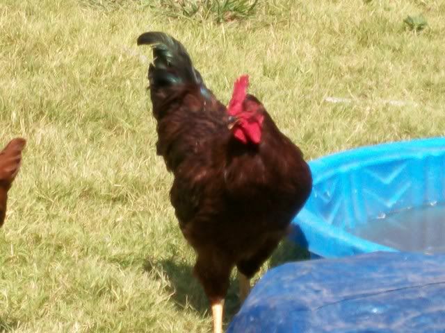 100_0073.jpg