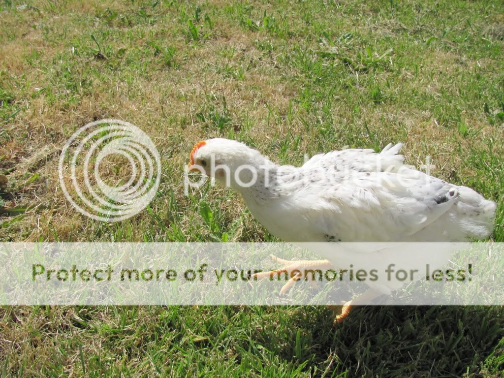 IMG_2073.jpg