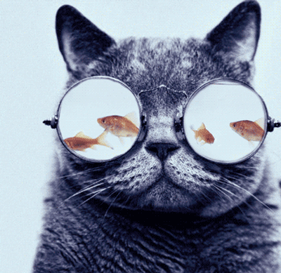30x30px-ZC-db1fd59d_tumblr_m7ulg1cjcL1rw5vseo1_400.gif